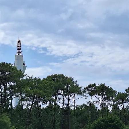 Apartamento Annabelle Duplex à Dans Les Landes Entre Océan Et Forêts De Pins *