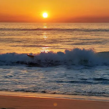 Annabelle Duplex à Dans Les Landes Entre Océan Et Forêts De Pins *
