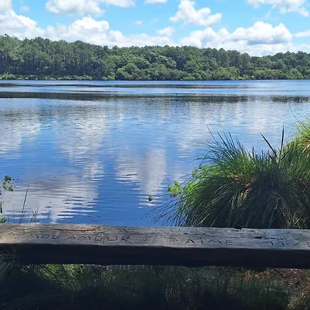 Apartamento Annabelle Duplex à Dans Les Landes Entre Océan Et Forêts De Pins