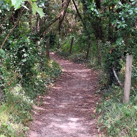 Lejlighed Annabelle Duplex A Dans Les Landes Entre Ocean Et Forets De Pins *