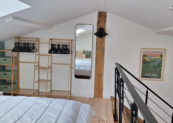 Annabelle Duplex A Dans Les Landes Entre Ocean Et Forets De Pins