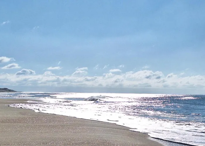 Annabelle Duplex A Dans Les Landes Entre Ocean Et Forets De Pins * מסאנז'