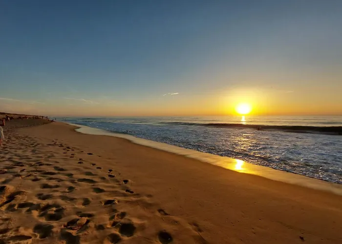 Annabelle Duplex A Dans Les Landes Entre Ocean Et Forets De Pins דירה *