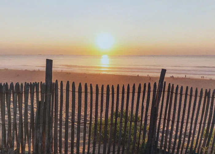 Annabelle Duplex A Dans Les Landes Entre Ocean Et Forets De Pins דירה