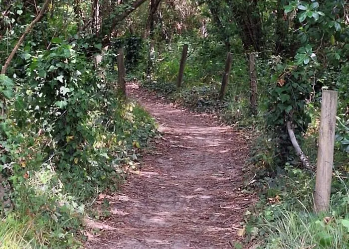 דירה Annabelle Duplex A Dans Les Landes Entre Ocean Et Forets De Pins *