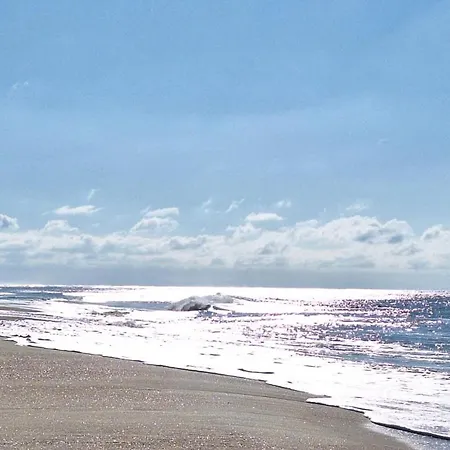 Annabelle Duplex A Dans Les Landes Entre Ocean Et Forets De Pins * Messanges (Landes)