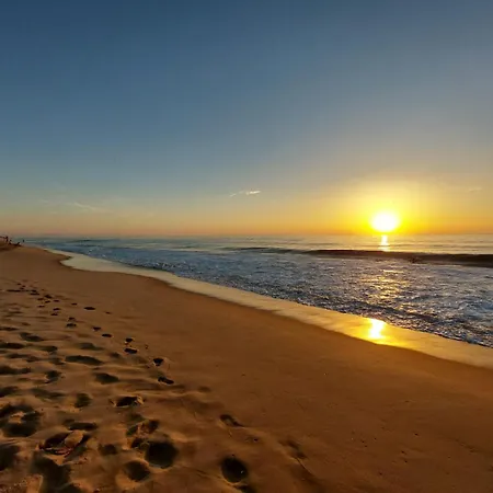 Annabelle Duplex A Dans Les Landes Entre Ocean Et Forets De Pins Apartment *