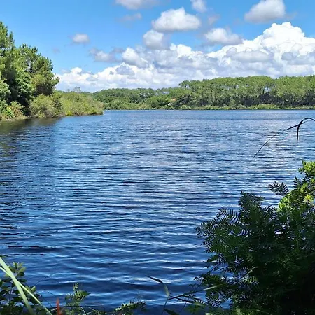 Apartment Annabelle Duplex A Dans Les Landes Entre Ocean Et Forets De Pins