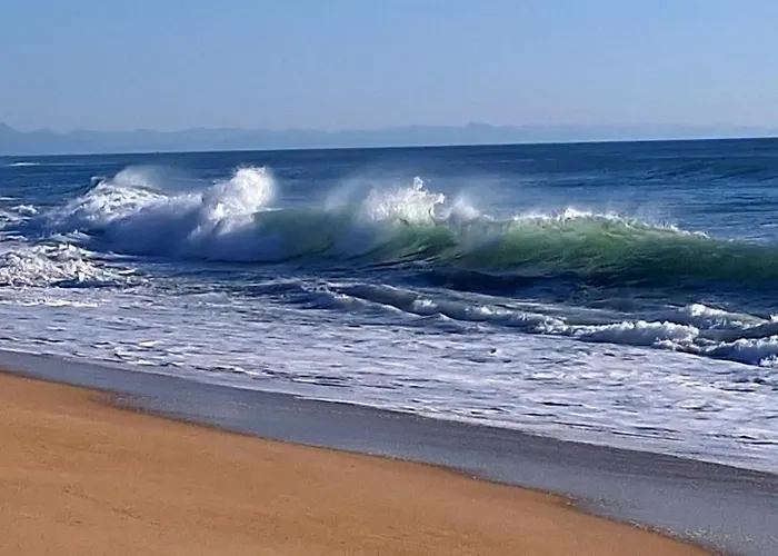 Apartment Annabelle Duplex A Dans Les Landes Entre Ocean Et Forets De Pins