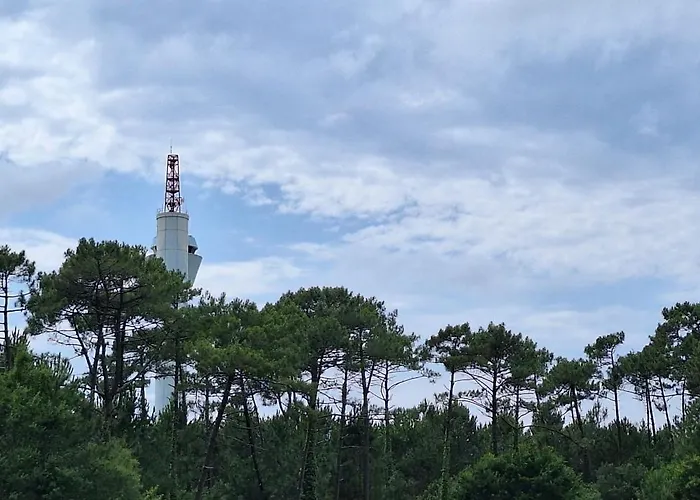 شقة Annabelle Duplex A Dans Les Landes Entre Ocean Et Forets De Pins *