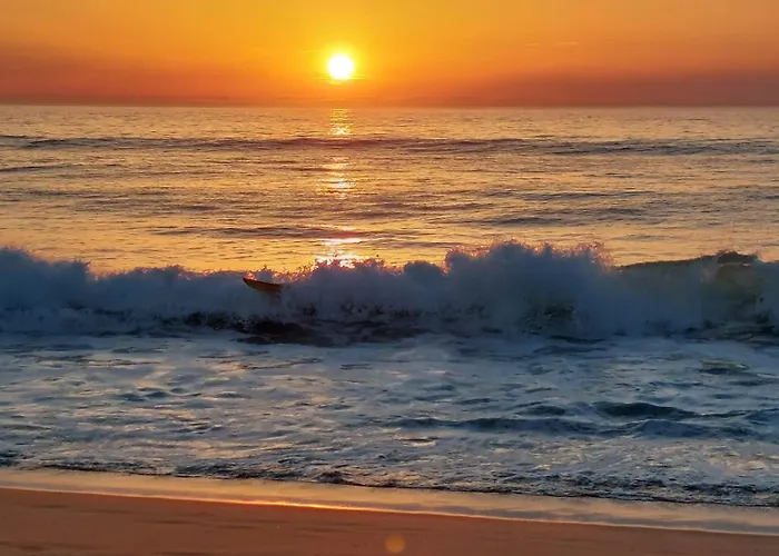 Annabelle Duplex A Dans Les Landes Entre Ocean Et Forets De Pins *