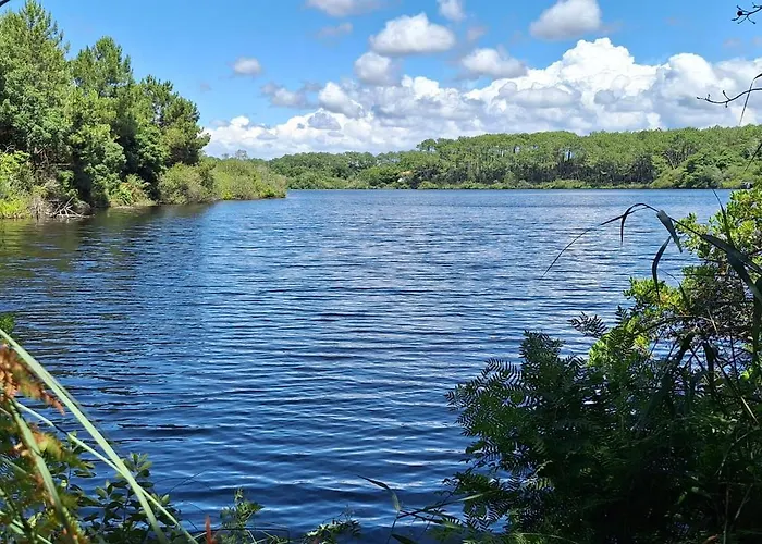 شقة Annabelle Duplex A Dans Les Landes Entre Ocean Et Forets De Pins