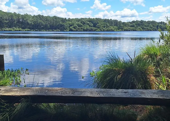 Apartment Annabelle Duplex A Dans Les Landes Entre Ocean Et Forets De Pins